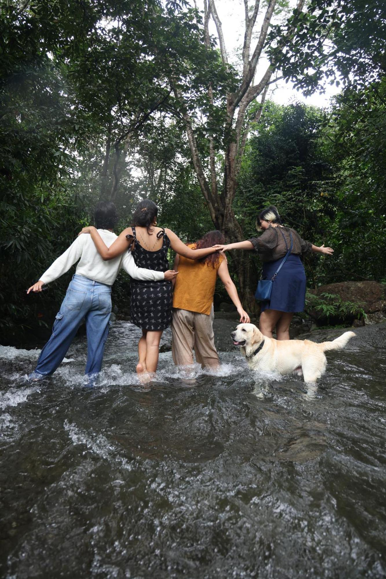 Vanilla County Vagamon Eksteriør billede