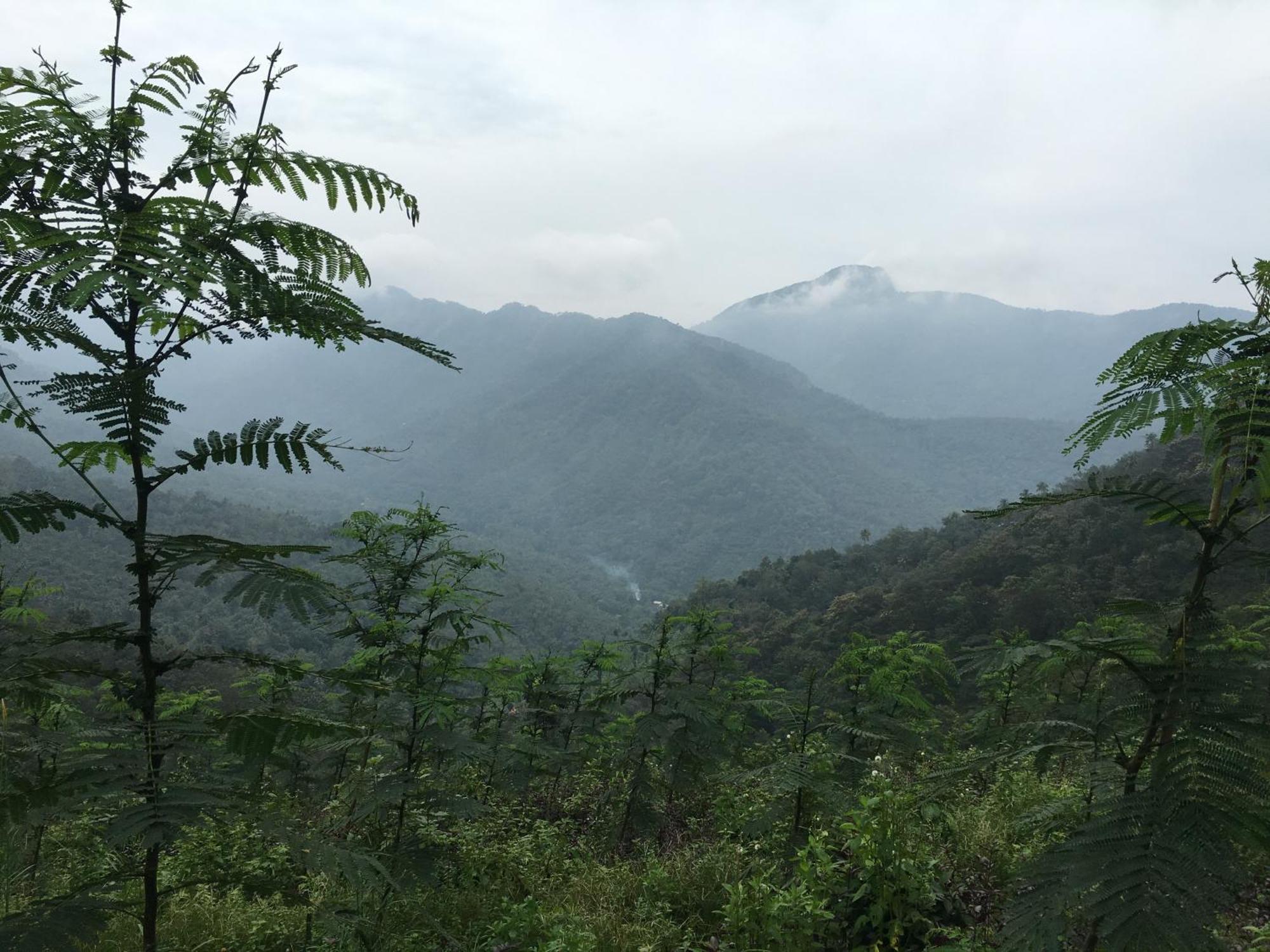 Vanilla County Vagamon Eksteriør billede