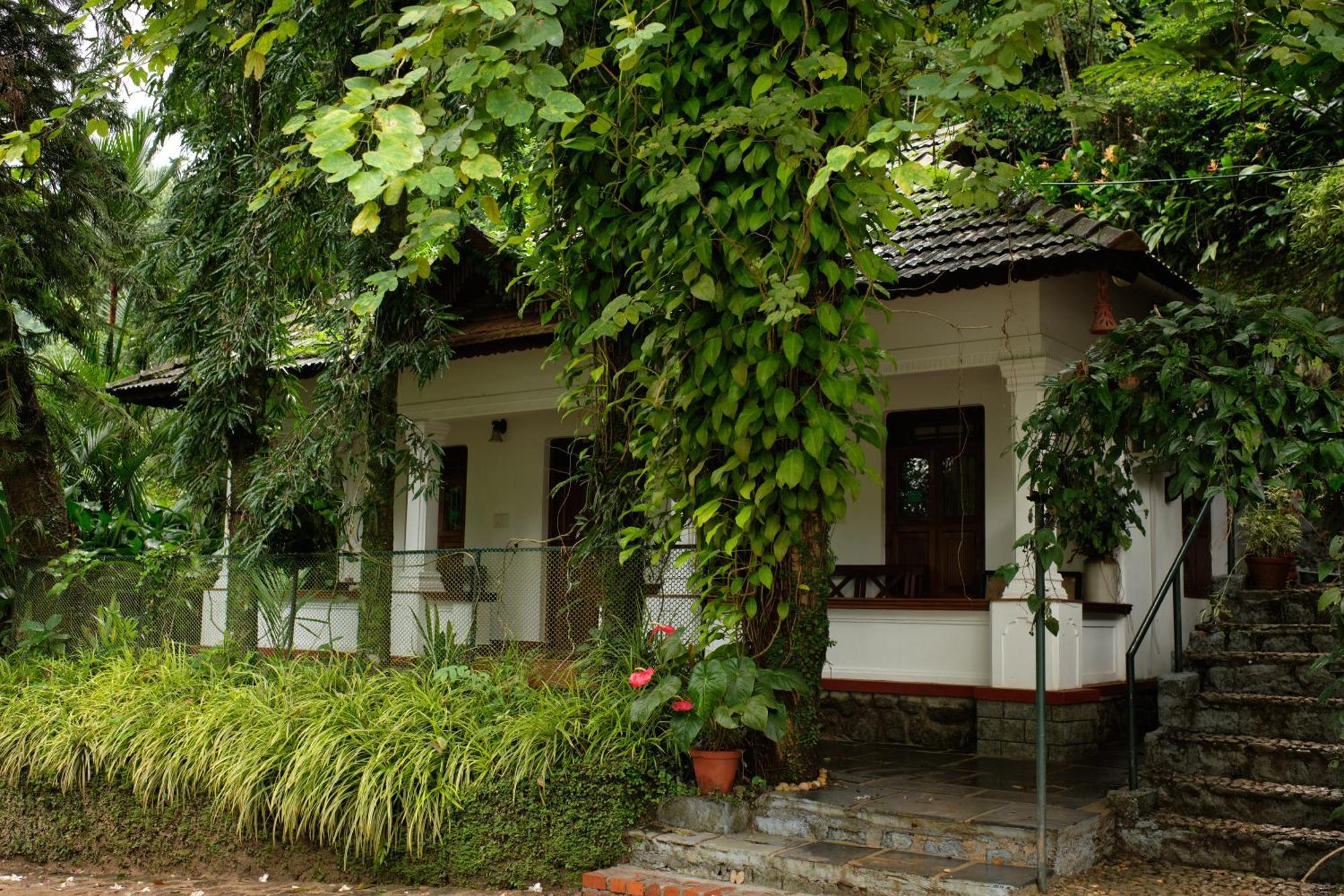 Vanilla County Vagamon Eksteriør billede